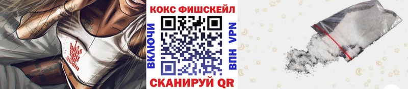 Cocaine Fish Scale  купить наркотики цена  Магас 