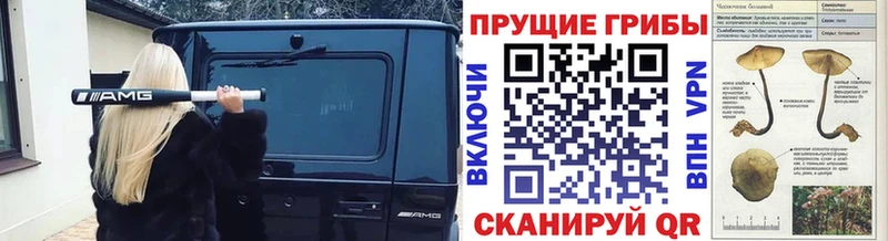Псилоцибиновые грибы прущие грибы даркнет сайт Магас